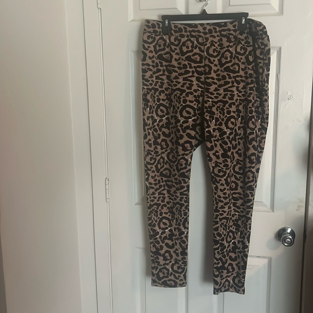 Dress pants